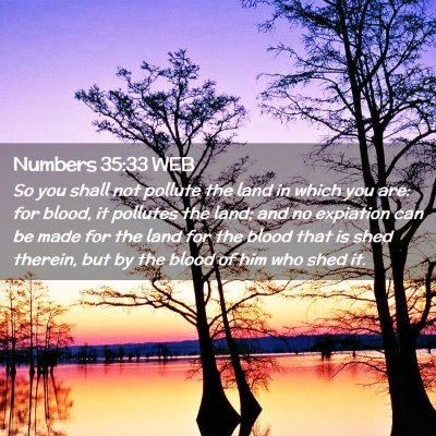 Picture 02 - Numbers 35:33 WEB - So you shall not pollute the land in which you - Bible Verse Picture