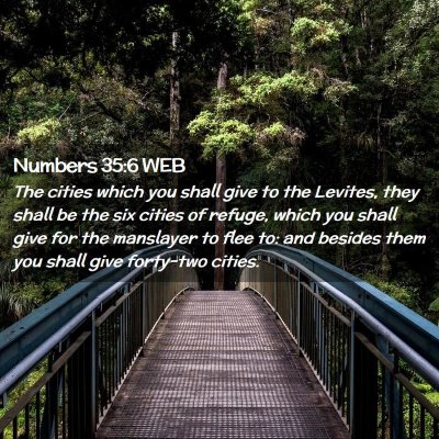 Picture 02 - Numbers 35:6 WEB - The cities which you shall give to the Levites, - Bible Verse Picture