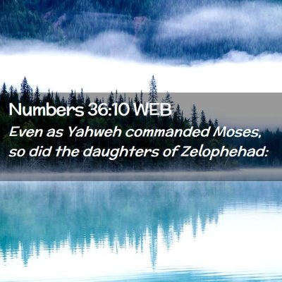 Picture 02 - Numbers 36:10 WEB - Even as Yahweh commanded Moses, so did the - Bible Verse Picture