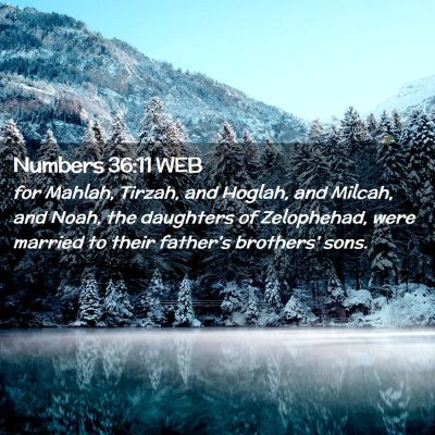 Picture 02 - Numbers 36:11 WEB - for Mahlah, Tirzah, and Hoglah, and Milcah, and - Bible Verse Picture
