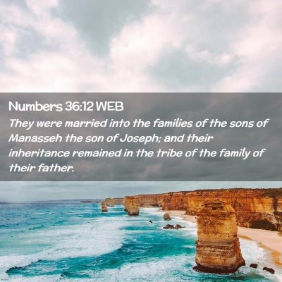 Picture 02 - Numbers 36:12 WEB - They were married into the families of the sons - Bible Verse Picture