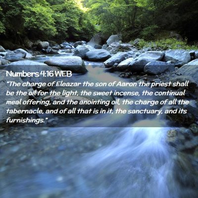 Picture 02 - Numbers 4:16 WEB - 