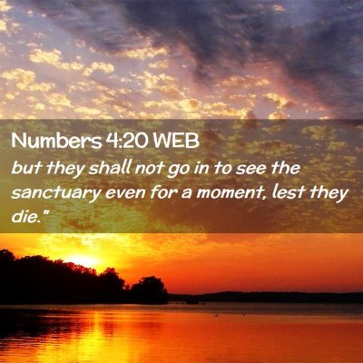 Picture 02 - Numbers 4:20 WEB - but they shall not go in to see the sanctuary - Bible Verse Picture