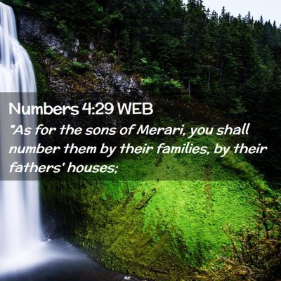 Picture 02 - Numbers 4:29 WEB - 