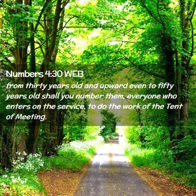 Picture 02 - Numbers 4:30 WEB - from thirty years old and upward even to fifty - Bible Verse Picture