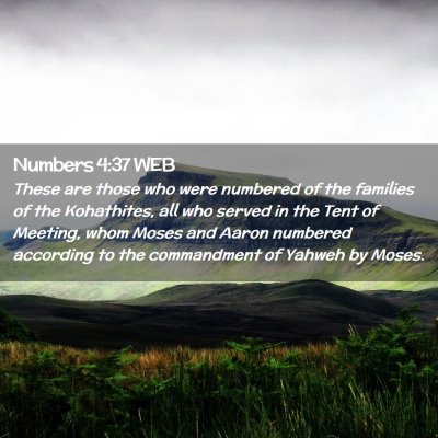 Picture 02 - Numbers 4:37 WEB - These are those who were numbered of the families - Bible Verse Picture
