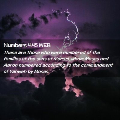 Picture 02 - Numbers 4:45 WEB - These are those who were numbered of the families - Bible Verse Picture