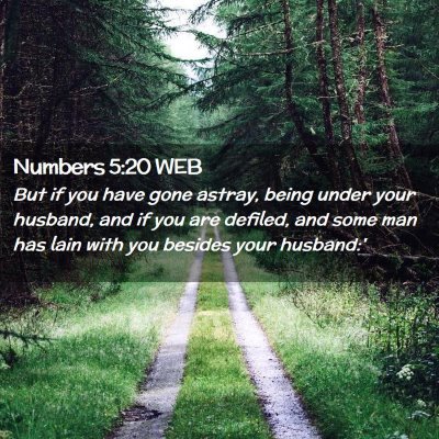 Picture 02 - Numbers 5:20 WEB - But if you have gone astray, being under your - Bible Verse Picture