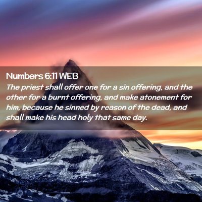 Picture 02 - Numbers 6:11 WEB - The priest shall offer one for a sin offering, - Bible Verse Picture