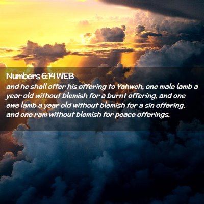 Picture 02 - Numbers 6:14 WEB - and he shall offer his offering to Yahweh, one - Bible Verse Picture