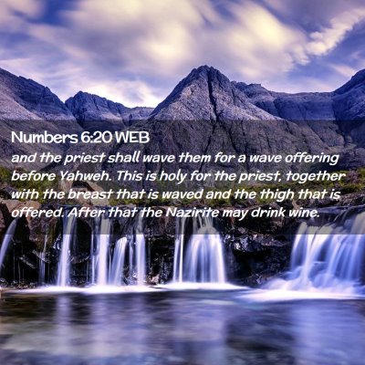 Picture 02 - Numbers 6:20 WEB - and the priest shall wave them for a wave - Bible Verse Picture