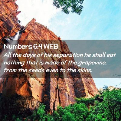 Picture 02 - Numbers 6:4 WEB - All the days of his separation he shall eat - Bible Verse Picture