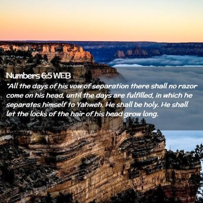 Picture 02 - Numbers 6:5 WEB - 