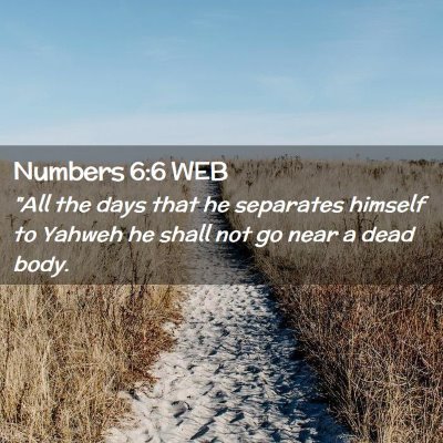 Picture 02 - Numbers 6:6 WEB - 