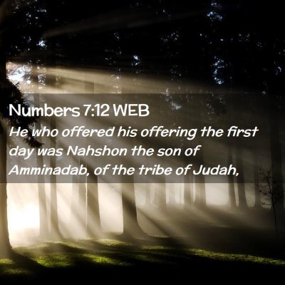 Picture 02 - Numbers 7:12 WEB - He who offered his offering the first day was - Bible Verse Picture
