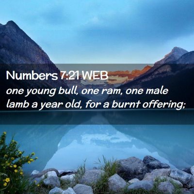 Picture 02 - Numbers 7:21 WEB - one young bull, one ram, one male lamb a year - Bible Verse Picture