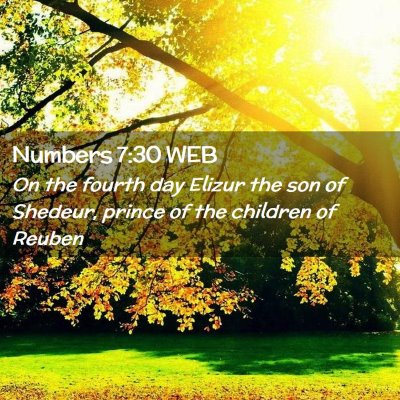 Picture 02 - Numbers 7:30 WEB - On the fourth day Elizur the son of Shedeur, - Bible Verse Picture