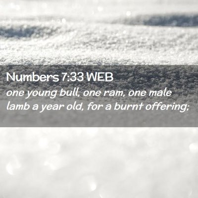 Picture 02 - Numbers 7:33 WEB - one young bull, one ram, one male lamb a year - Bible Verse Picture