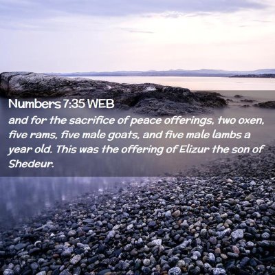 Picture 02 - Numbers 7:35 WEB - and for the sacrifice of peace offerings, two - Bible Verse Picture