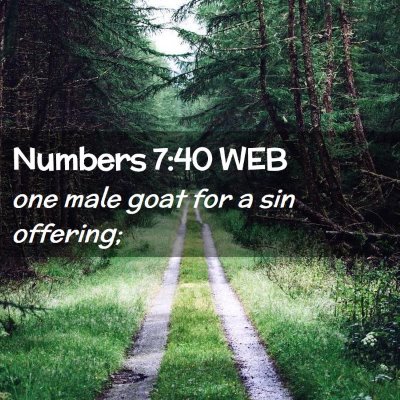Picture 02 - Numbers 7:40 WEB - one male goat for a sin - Bible Verse Picture