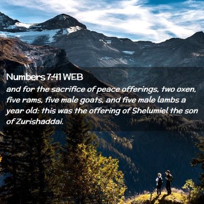 Picture 02 - Numbers 7:41 WEB - and for the sacrifice of peace offerings, two - Bible Verse Picture