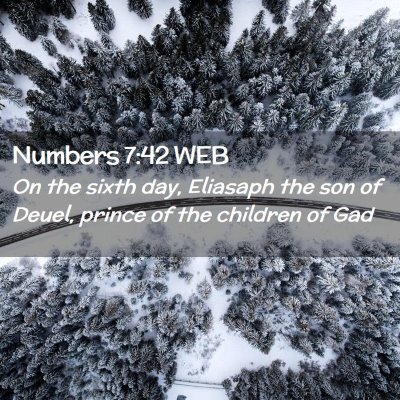 Picture 02 - Numbers 7:42 WEB - On the sixth day, Eliasaph the son of Deuel, - Bible Verse Picture
