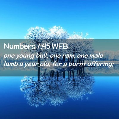 Picture 02 - Numbers 7:45 WEB - one young bull, one ram, one male lamb a year - Bible Verse Picture