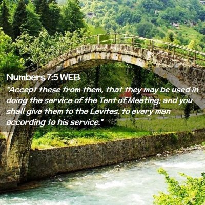 Picture 02 - Numbers 7:5 WEB - 