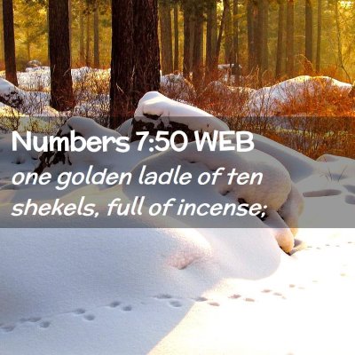 Picture 02 - Numbers 7:50 WEB - one golden ladle of ten shekels, full of - Bible Verse Picture