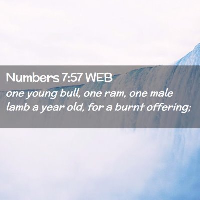 Picture 02 - Numbers 7:57 WEB - one young bull, one ram, one male lamb a year - Bible Verse Picture