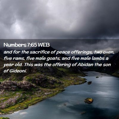 Picture 02 - Numbers 7:65 WEB - and for the sacrifice of peace offerings, two - Bible Verse Picture