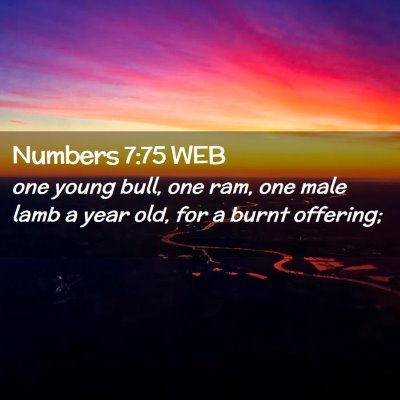 Picture 02 - Numbers 7:75 WEB - one young bull, one ram, one male lamb a year - Bible Verse Picture
