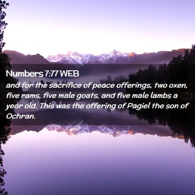 Picture 02 - Numbers 7:77 WEB - and for the sacrifice of peace offerings, two - Bible Verse Picture