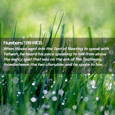 Picture 02 - Numbers 7:89 WEB - When Moses went into the Tent of Meeting to speak - Bible Verse Picture