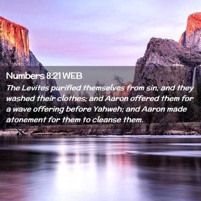 Picture 02 - Numbers 8:21 WEB - The Levites purified themselves from sin, and - Bible Verse Picture