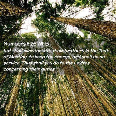 Picture 02 - Numbers 8:26 WEB - but shall minister with their brothers in the - Bible Verse Picture