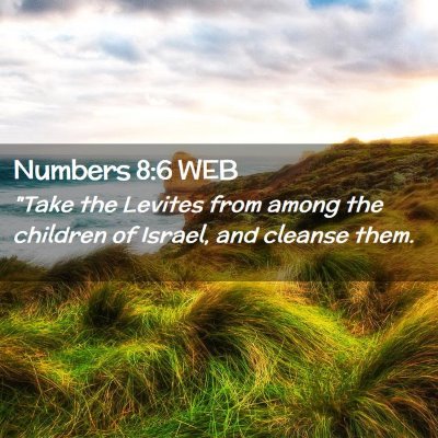 Picture 02 - Numbers 8:6 WEB - 