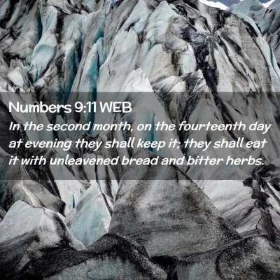 Picture 02 - Numbers 9:11 WEB - In the second month, on the fourteenth day at - Bible Verse Picture