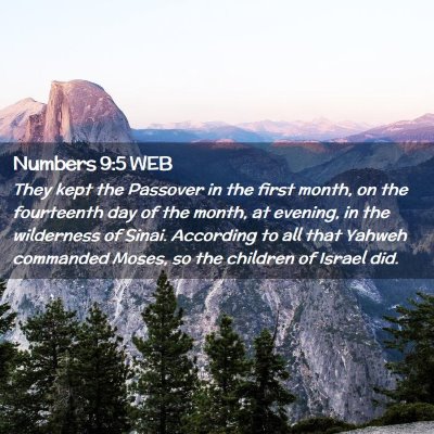 Picture 02 - Numbers 9:5 WEB - They kept the Passover in the first month, on the - Bible Verse Picture