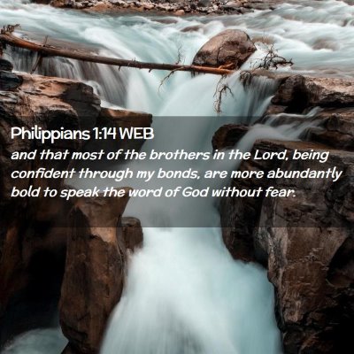 Picture 02 - Philippians 1:14 WEB - and that most of the brothers in the Lord, being - Bible Verse Picture