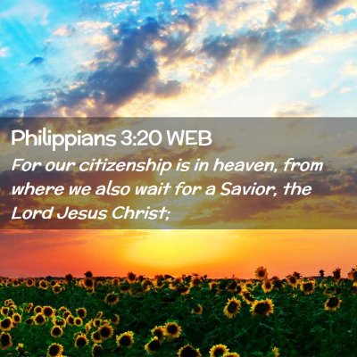 Picture 02 - Philippians 3:20 WEB - For our citizenship is in heaven, from where we - Bible Verse Picture