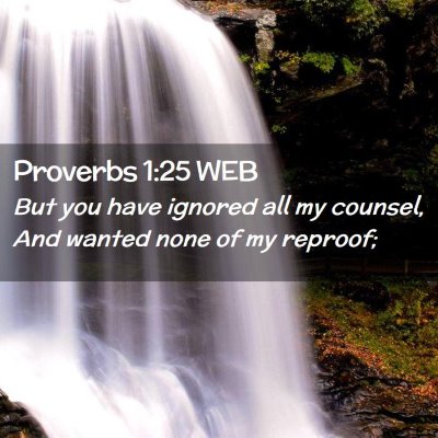 Picture 02 - Proverbs 1:25 WEB - But you have ignored all my counsel, And wanted - Bible Verse Picture