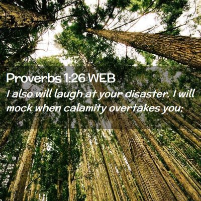 Picture 02 - Proverbs 1:26 WEB - I also will laugh at your disaster. I will mock - Bible Verse Picture