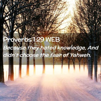 Picture 02 - Proverbs 1:29 WEB - Because they hated knowledge, And didn't choose - Bible Verse Picture
