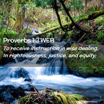 Picture 02 - Proverbs 1:3 WEB - To receive instruction in wise dealing, In - Bible Verse Picture
