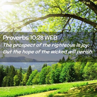 Picture 02 - Proverbs 10:28 WEB - The prospect of the righteous is joy, But the - Bible Verse Picture
