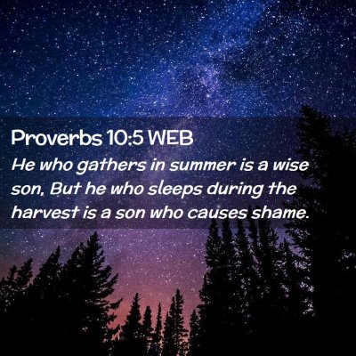 Picture 02 - Proverbs 10:5 WEB - He who gathers in summer is a wise son, But he - Bible Verse Picture