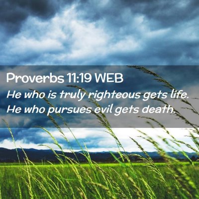Picture 02 - Proverbs 11:19 WEB - He who is truly righteous gets life. He who - Bible Verse Picture