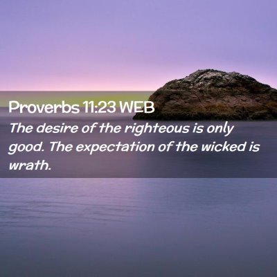 Picture 02 - Proverbs 11:23 WEB - The desire of the righteous is only good. The - Bible Verse Picture
