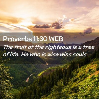 Picture 02 - Proverbs 11:30 WEB - The fruit of the righteous is a tree of life. He - Bible Verse Picture